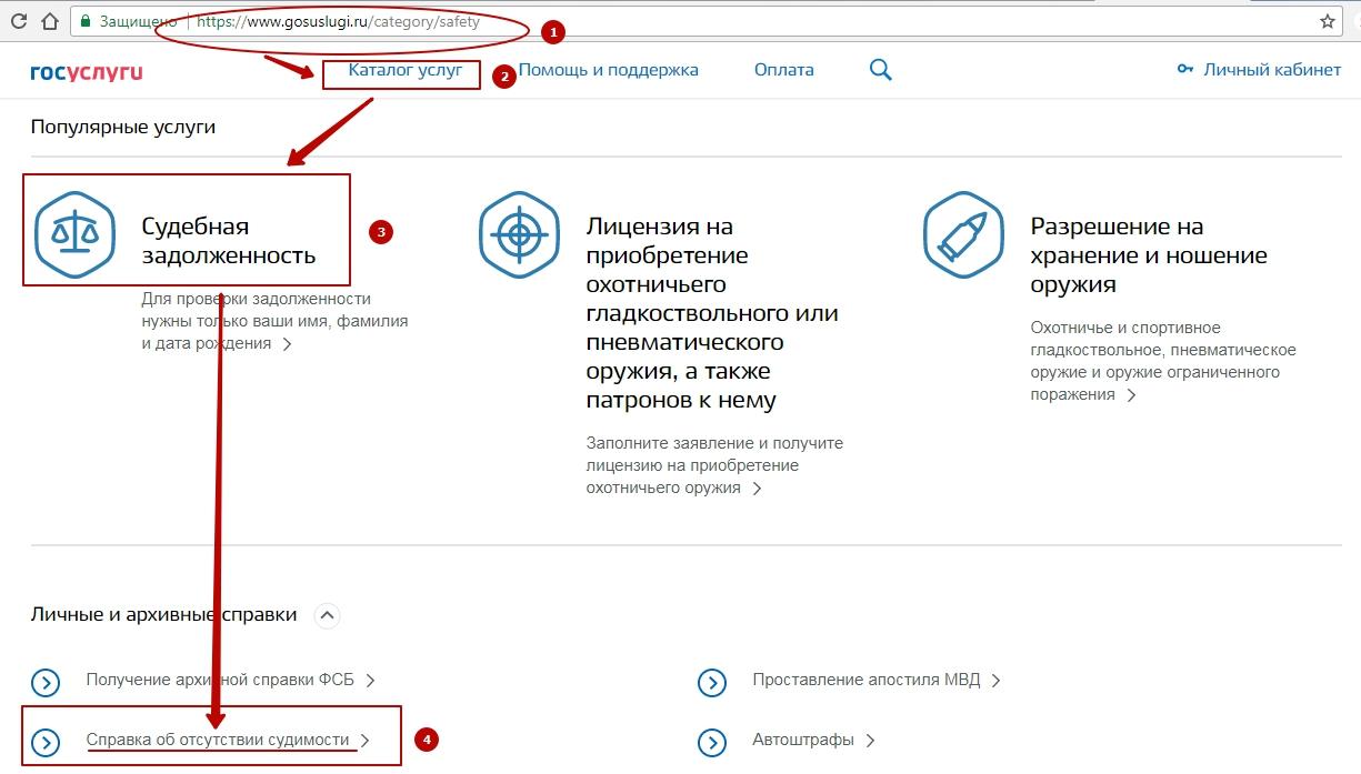 Полученные документы в госуслугах. Справка о несудимости на госуслугах. Отсутствии судимости на госуслугах.